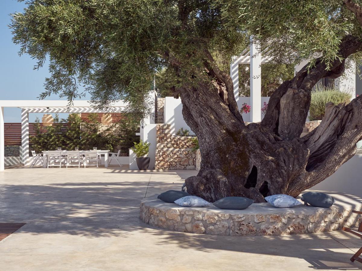 Panoplagia Villa อายิโอสนิโกลาโอส ภายนอก รูปภาพ
